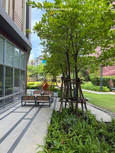 picture Lumpini Place Ratchada - Sathu 11th-20th floor Size 28.46 square meters 1 bedroom, 1 bathroom - 14/15