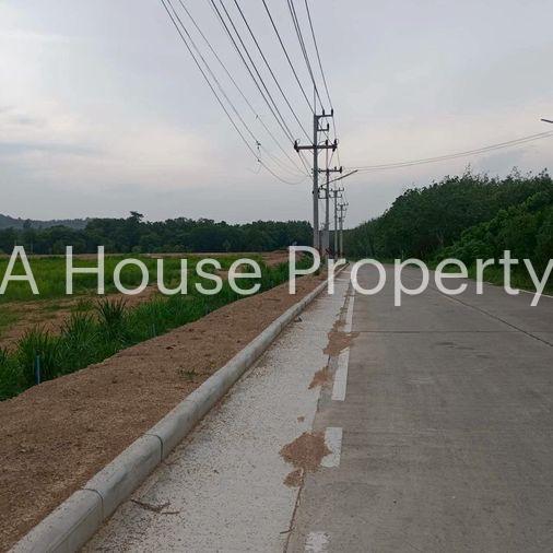 picture Beautiful plot of vacant land for sale, mountain view, Khao Sok District, Nong Yai, Chonburi - 11/15