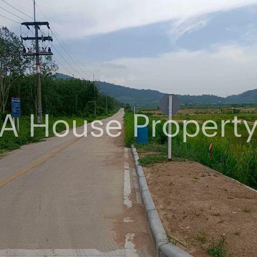 picture Beautiful plot of vacant land for sale, mountain view, Khao Sok District, Nong Yai, Chonburi - 12/15