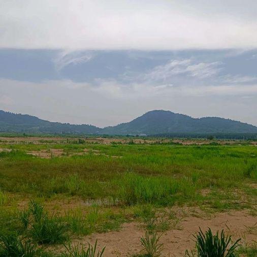 picture Beautiful plot of vacant land for sale, mountain view, Khao Sok District, Nong Yai, Chonburi - 1/15