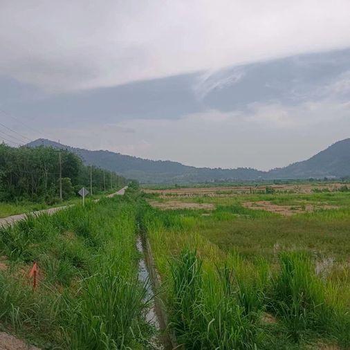 picture Beautiful plot of vacant land for sale, mountain view, Khao Sok District, Nong Yai, Chonburi - 3/15