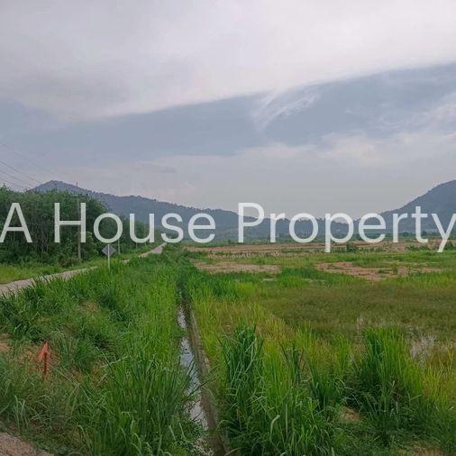 picture Beautiful plot of vacant land for sale, mountain view, Khao Sok District, Nong Yai, Chonburi - 3/15