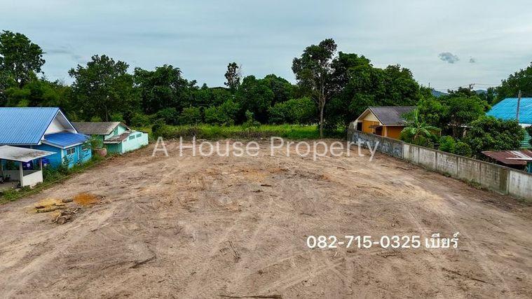 รูป ขายที่ดินแปลงสวย ศรีราชา บางพระ ราคาถูก ใกล้แหล่งชุมชน - รูปที่ 16/19