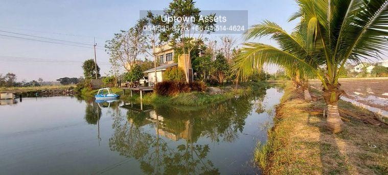 รูป ขาย บ้านเดี่ยว ต.เขาขลุง อ.บ้านโป่ง จ.ราชบุรี เลขที่ 93 - รูปที่ 8/17