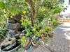 listing thumbnail image 19