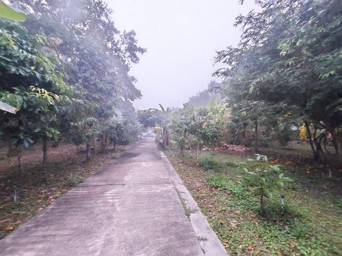 รูป ขายด่วน! ที่ดิน พร้อมบ้าน 4 หลัง (ติดแม่น้ำแคว)  ต.ลิ่นถิ่น อ.ทองผาภูมิ จ.กาญจนบุรี (ราคาถูก!  5,500,000 ) - รูปที่ 7/20