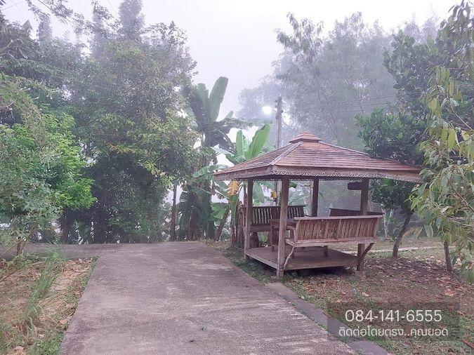 รูป ขายด่วน! ที่ดิน พร้อมบ้าน 4 หลัง (ติดแม่น้ำแคว) ต.ลิ่นถิ่น อ.ทองผาภูมิ จ.กาญจนบุรี (ราคาถูก! 5,500,000 ) - รูปที่ 4/20