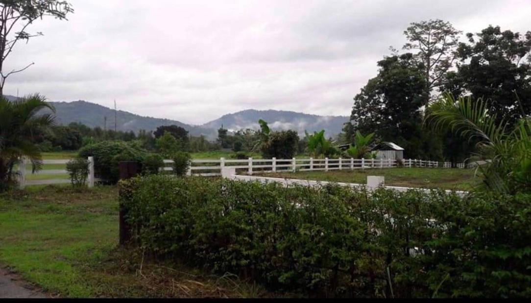 picture 11 rai of land in Nakhon Nayok - 5/11