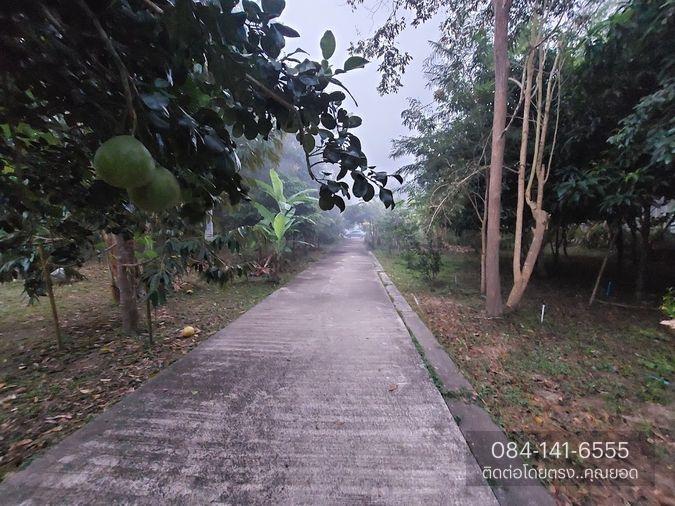 รูป ขายด่วน! ที่ดิน พร้อมบ้าน 4 หลัง (ติดแม่น้ำแคว) ต.ลิ่นถิ่น อ.ทองผาภูมิ จ.กาญจนบุรี (ราคาถูก! 5,500,000 ) - รูปที่ 5/20