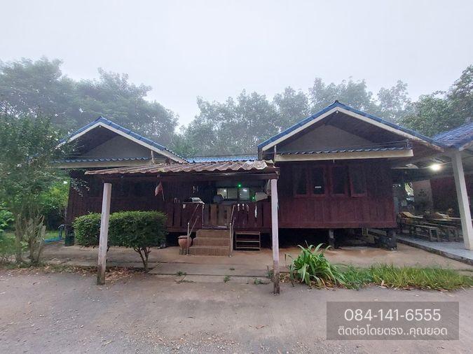 รูป ขายด่วน! ที่ดิน พร้อมบ้าน 4 หลัง (ติดแม่น้ำแคว) ต.ลิ่นถิ่น อ.ทองผาภูมิ จ.กาญจนบุรี (ราคาถูก! 5,500,000 ) - รูปที่ 18/20