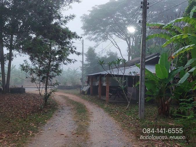 รูป ขายด่วน! ที่ดิน พร้อมบ้าน 4 หลัง (ติดแม่น้ำแคว) ต.ลิ่นถิ่น อ.ทองผาภูมิ จ.กาญจนบุรี (ราคาถูก! 5,500,000 ) - รูปที่ 16/20