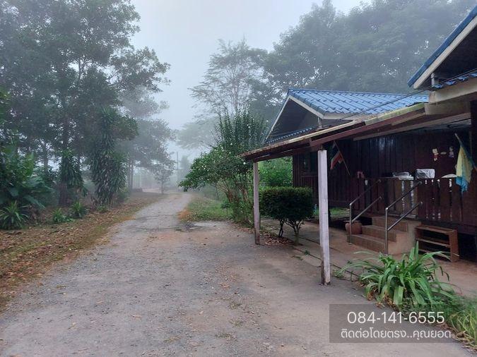 รูป ขายด่วน! ที่ดิน พร้อมบ้าน 4 หลัง (ติดแม่น้ำแคว) ต.ลิ่นถิ่น อ.ทองผาภูมิ จ.กาญจนบุรี (ราคาถูก! 5,500,000 ) - รูปที่ 13/20