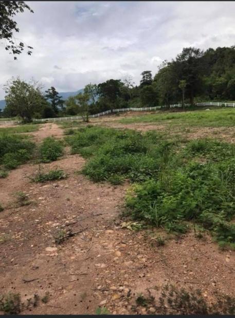 picture 11 rai of land in Nakhon Nayok - 11/11