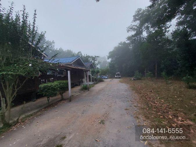รูป ขายด่วน! ที่ดิน พร้อมบ้าน 4 หลัง (ติดแม่น้ำแคว) ต.ลิ่นถิ่น อ.ทองผาภูมิ จ.กาญจนบุรี (ราคาถูก! 5,500,000 ) - รูปที่ 15/20