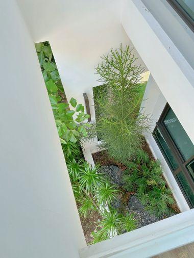 picture 🏡 House For Rent : Mantana Bangna Km.15 - 20/21