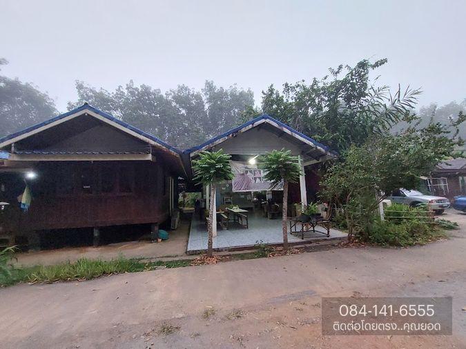 รูป ขายด่วน! ที่ดิน พร้อมบ้าน 4 หลัง (ติดแม่น้ำแคว) ต.ลิ่นถิ่น อ.ทองผาภูมิ จ.กาญจนบุรี (ราคาถูก! 5,500,000 ) - รูปที่ 11/20