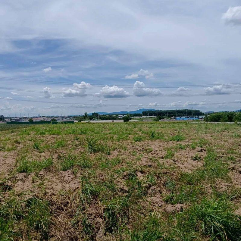รูป ขายที่ดินมาบยางพร ปลวกแดง ระยอง แปลงสวย ราคาดี  - รูปที่ 2/8