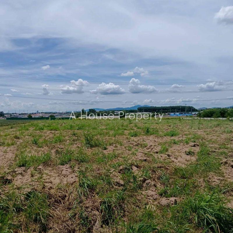 รูป ขายที่ดินมาบยางพร ปลวกแดง ระยอง แปลงสวย ราคาดี - รูปที่ 2/8