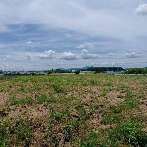 picture Land for sale in Map Yang Phon, Plaeng Daeng, Rayong. Beautiful plot, good price. - 2/8