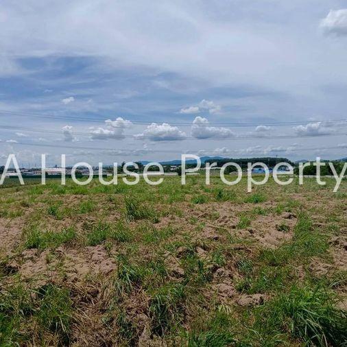 picture Land for sale in Map Yang Phon, Plaeng Daeng, Rayong. Beautiful plot, good price. - 2/8