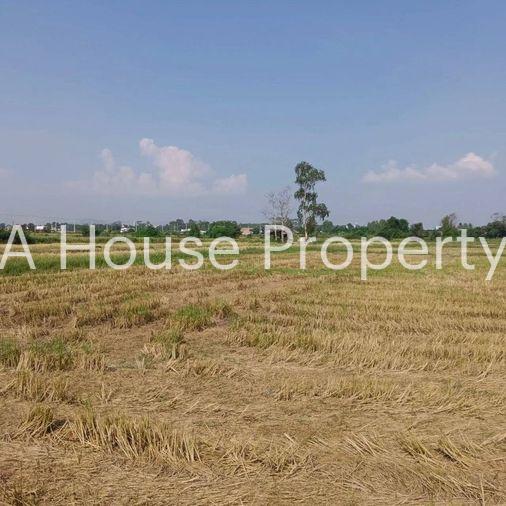 picture Land for sale in Bueng Sriracha, beautiful plot, good location, orange area - 1/7