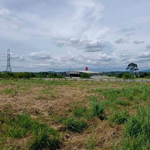 picture Land for sale in Map Yang Phon, Plaeng Daeng, Rayong. Beautiful plot, good price. - 3/8