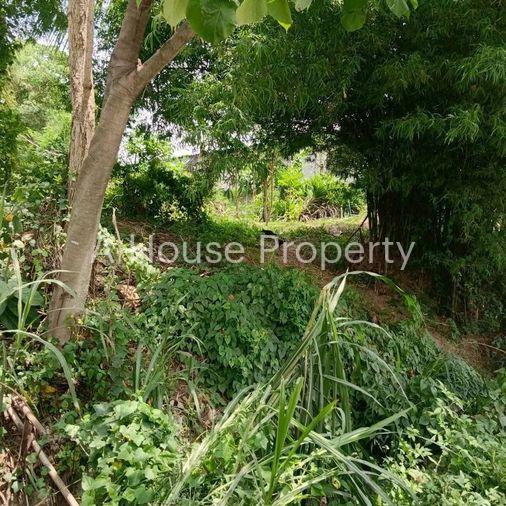 picture Beautiful land plot for sale, good location, Map Yang Phon, Pluak Daeng, Rayong - 2/5
