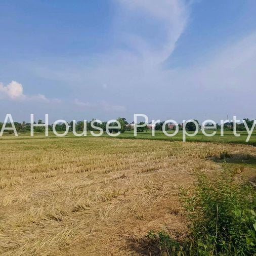 picture Land for sale in Bueng Sriracha, beautiful plot, good location, orange area - 3/7