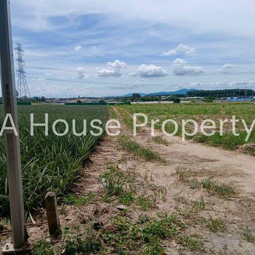 picture Land for sale in Map Yang Phon, Plaeng Daeng, Rayong. Beautiful plot, good price. - 5/8