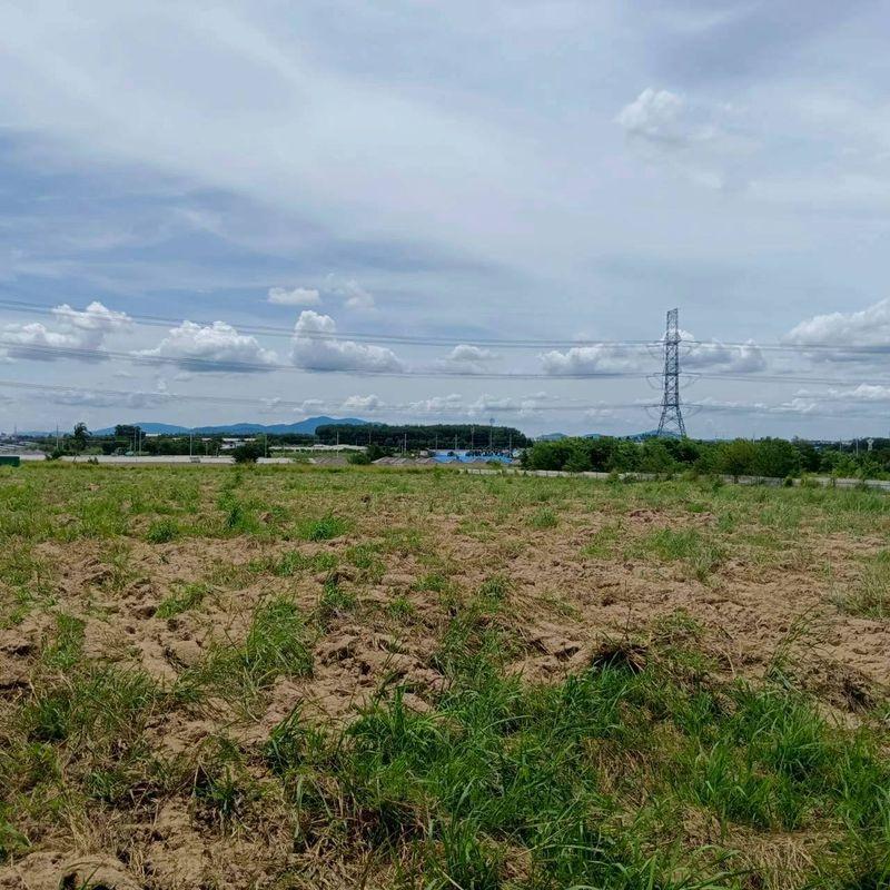 รูป ขายที่ดินมาบยางพร ปลวกแดง ระยอง แปลงสวย ราคาดี  - รูปที่ 1/8