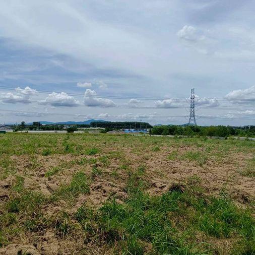 picture Land for sale in Map Yang Phon, Plaeng Daeng, Rayong. Beautiful plot, good price. - 1/8
