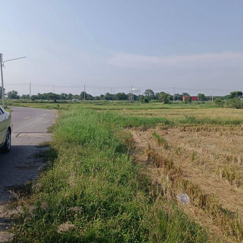 รูป ขายที่ดินบึง ศรีราชา แปลงสวย ทำเลดี พื้นที่สีส้ม  - รูปที่ 5/7