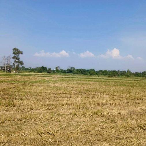 picture Land for sale in Bueng Sriracha, beautiful plot, good location, orange area - 2/7