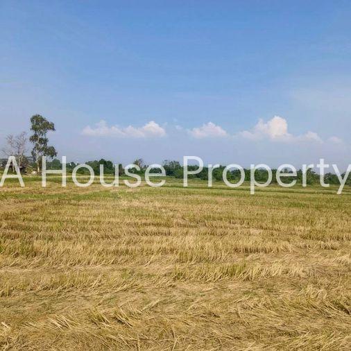 picture Land for sale in Bueng Sriracha, beautiful plot, good location, orange area - 2/7