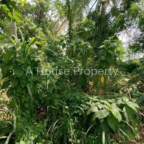 picture Beautiful land plot for sale, good location, Map Yang Phon, Pluak Daeng, Rayong - 1/5