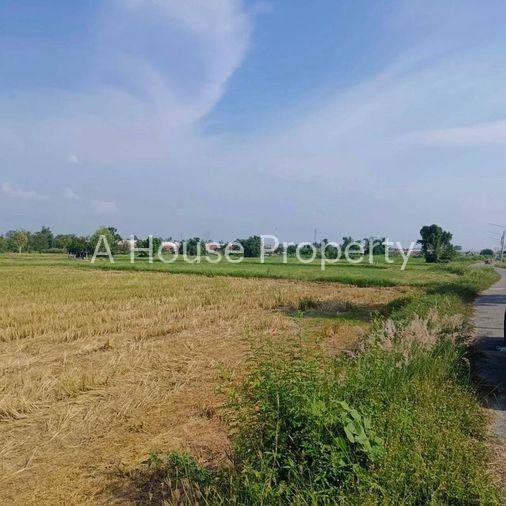 รูป ขายที่ดินบึง ศรีราชา แปลงสวย ทำเลดี พื้นที่สีส้ม - รูปที่ 4/7