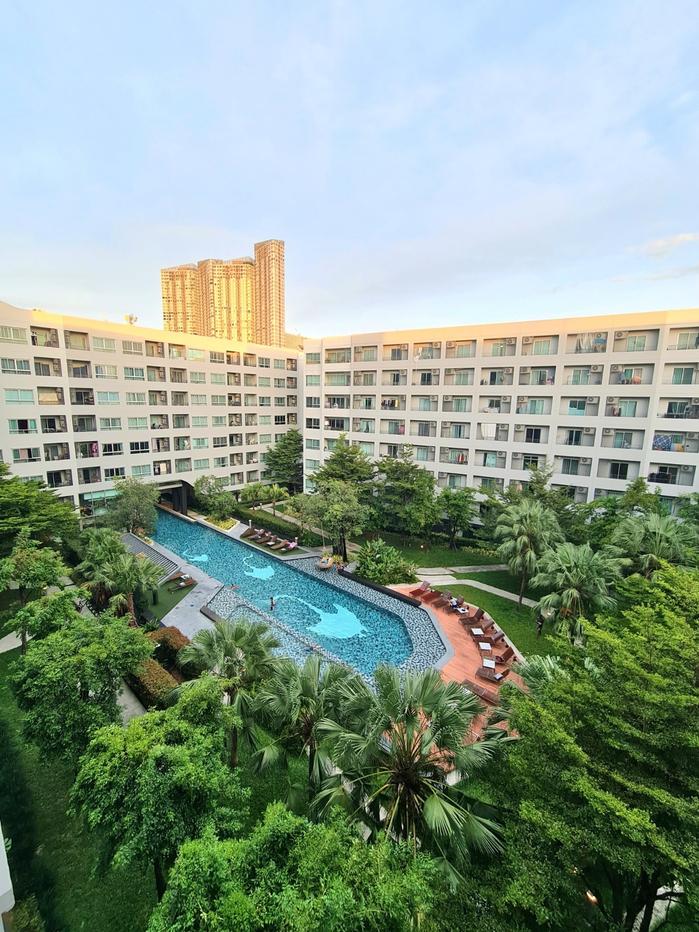 picture Condo for rent : Elio Del Rey 1 bedroom  1 bathroom  34 sqm  Floor 6 - 2/9