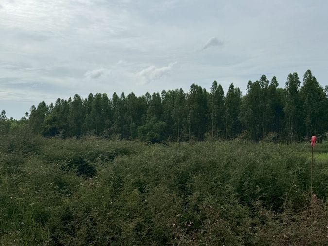 picture Best price! 1rai++. Prime location in Khu Khot, Lumlukka - 5/6