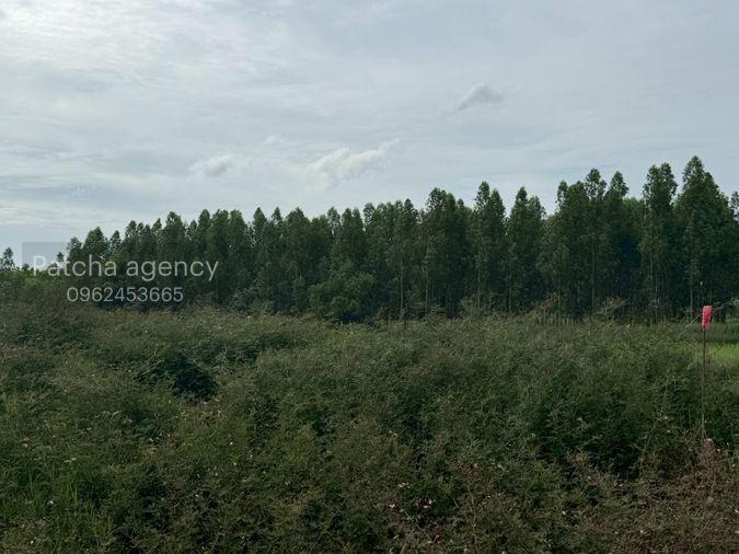 picture Best price! 1rai++. Prime location in Khu Khot, Lumlukka - 5/6