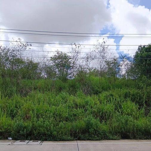 picture Land for sale in Bowin, Sriracha, yellow area, beautiful plot, Khao Khai area - 3/11