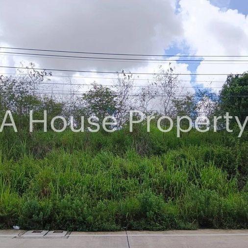 picture Land for sale in Bowin, Sriracha, yellow area, beautiful plot, Khao Khai area - 3/11