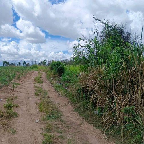 picture Land for sale in Bowin, Sriracha, yellow area, beautiful plot, Khao Khai area - 4/11