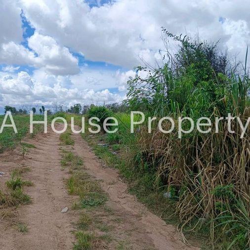 picture Land for sale in Bowin, Sriracha, yellow area, beautiful plot, Khao Khai area - 4/11