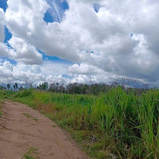 picture Land for sale in Bowin, Sriracha, yellow area, beautiful plot, Khao Khai area - 5/11