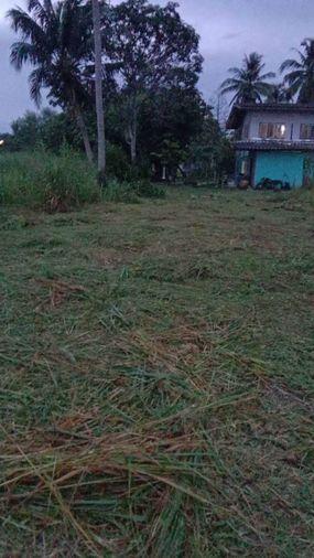 รูป ขายที่ดินศรีราชา หนองขาม โซนหนองเลง แปลงสวย ราคาสุดพิเศษ  - รูปที่ 2/4