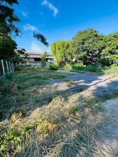 picture Land for sale, community area, Sakkho-Nongkham line, Sriracha, Chonburi - 4/8