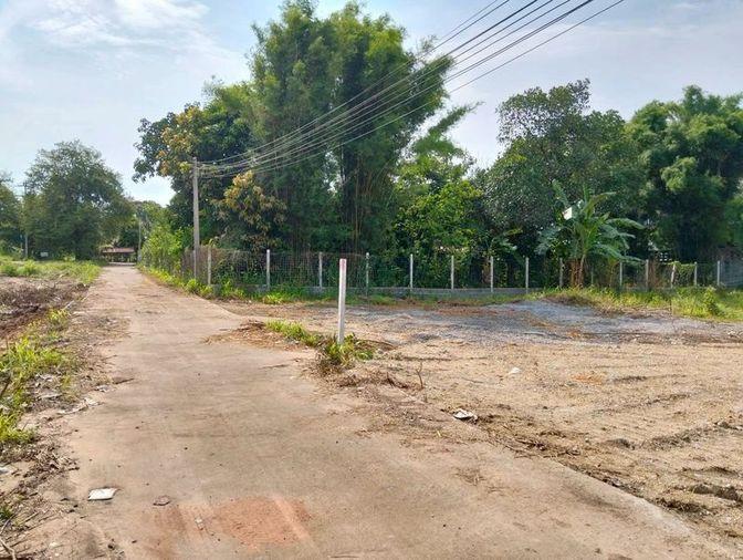 picture Land for sale, community area, Sakkho-Nongkham line, Sriracha, Chonburi - 3/8