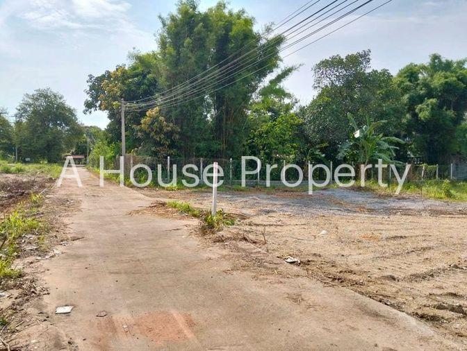 picture Land for sale, community area, Sakkho-Nongkham line, Sriracha, Chonburi - 3/8