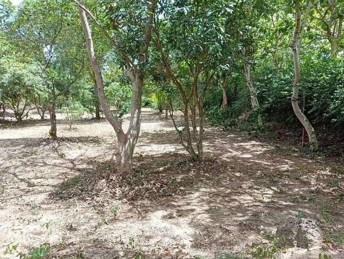 picture Beautiful plot of land for sale, next to Santikam Road, Bang Lamung, Chonburi - 5/10