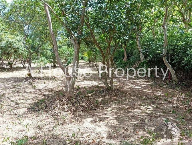picture Beautiful plot of land for sale, next to Santikam Road, Bang Lamung, Chonburi - 5/10